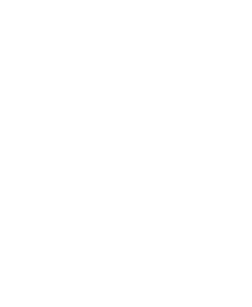 logo polaris